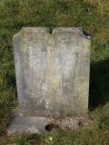 image of grave number 558039